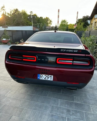 Dodge Challenger cena 133000 przebieg: 63581, rok produkcji 2017 z Łódź małe 121